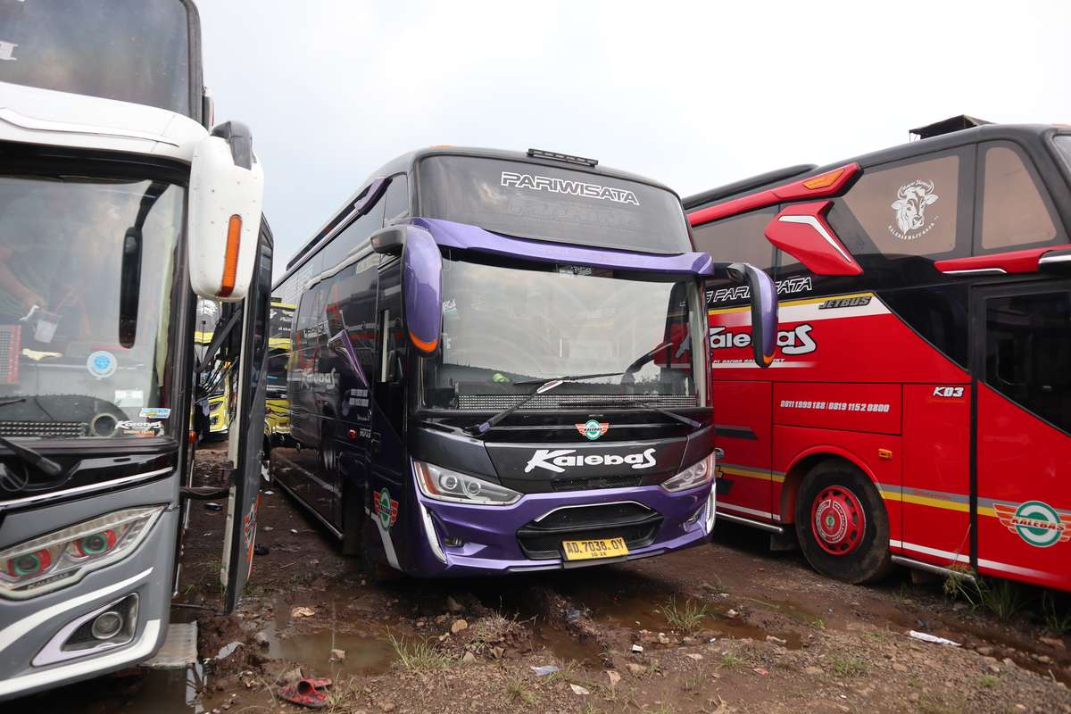 Medium Bus